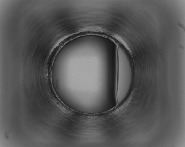 X0000091970923200709061129