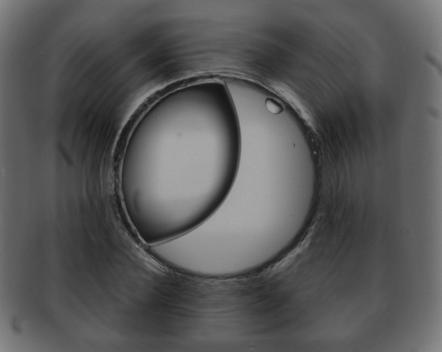 X0000091970924200709061129