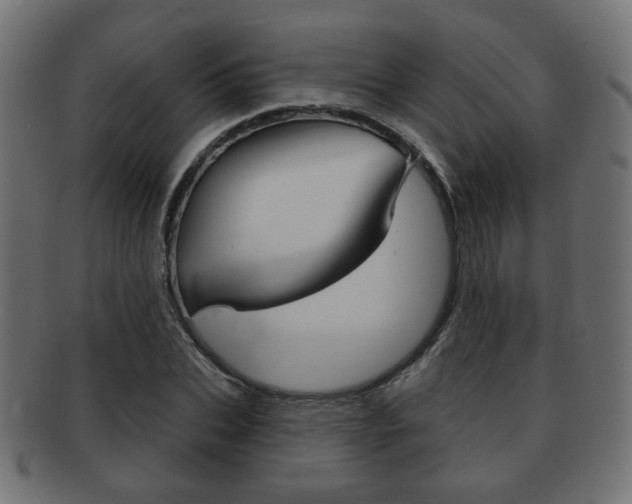 X0000091970927200709061129