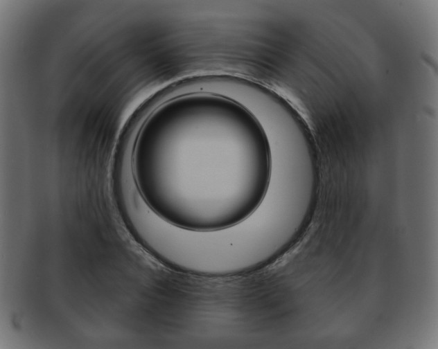 X0000091970928200709061129