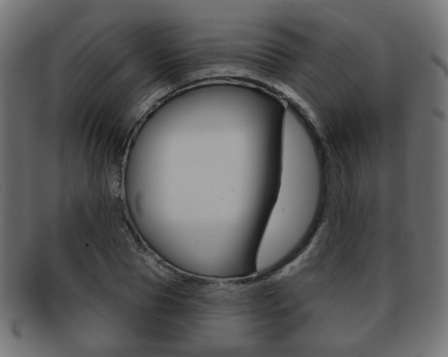 X0000091970929200709061129