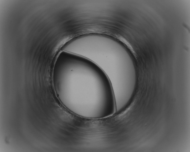 X0000091970930200709061129
