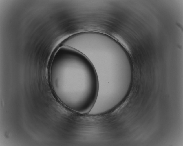 X0000091970932200709061129