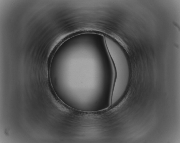 X0000091970934200709061129