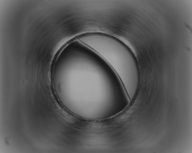 X0000091970935200709061129