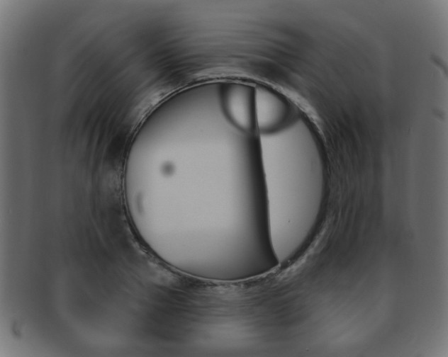X0000091970937200709061129