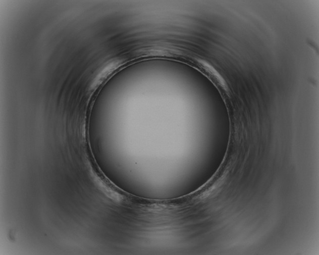 X0000091970938200709061129