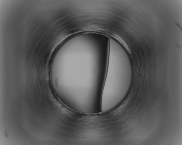 X0000091970939200709061129