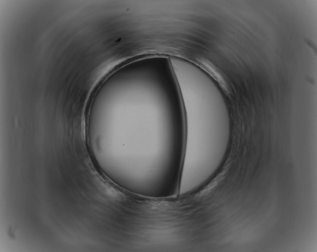 X0000091970940200709061129