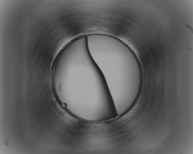 X0000091970941200709061129