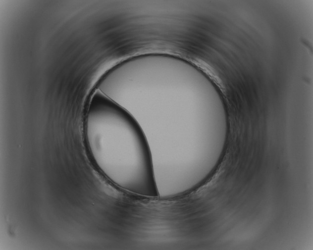 X0000091970942200709061129