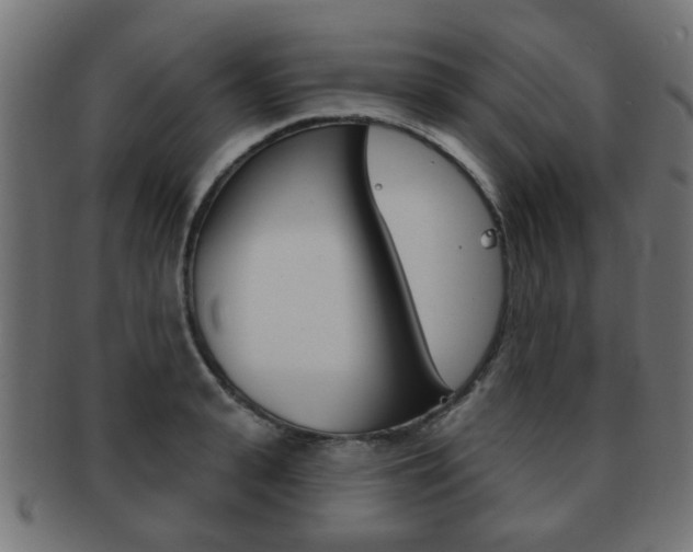 X0000091970943200709061129