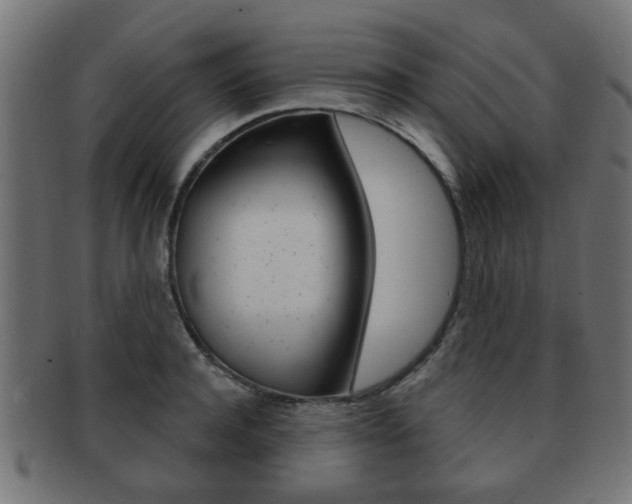 X0000091970944200709061129