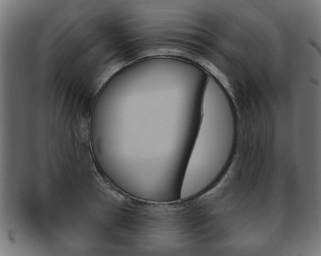 X0000091970945200709061129