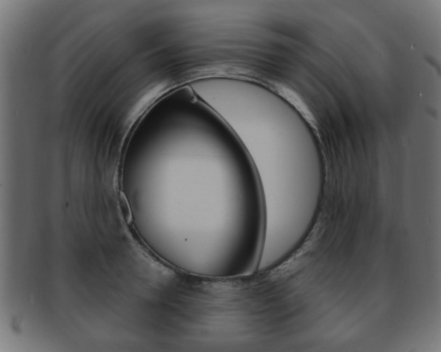 X0000091970946200709061129