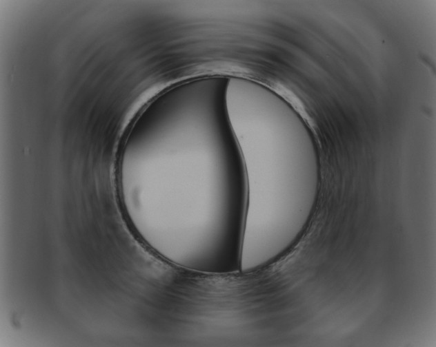 X0000091970947200709061129