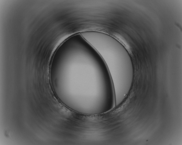 X0000091970948200709061129
