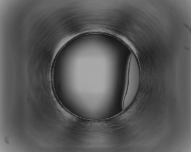 X0000091970951200709061129