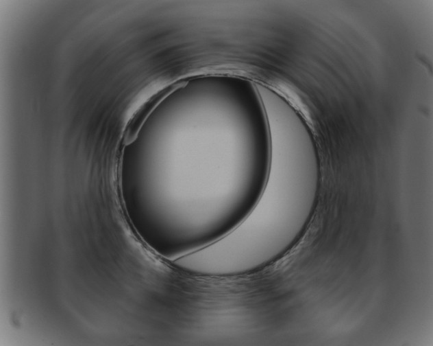 X0000091970952200709061129