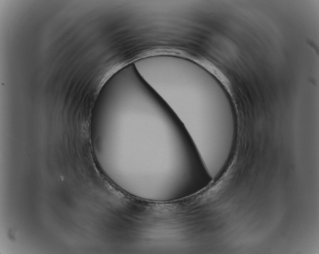 X0000091970953200709061129