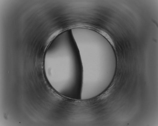 X0000091970954200709061129
