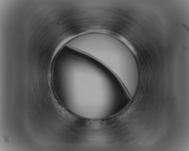 X0000091970955200709061129