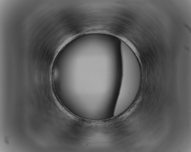 X0000091970957200709061129