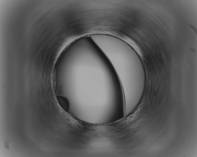 X0000091970958200709061129