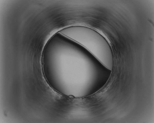 X0000091970959200709061129