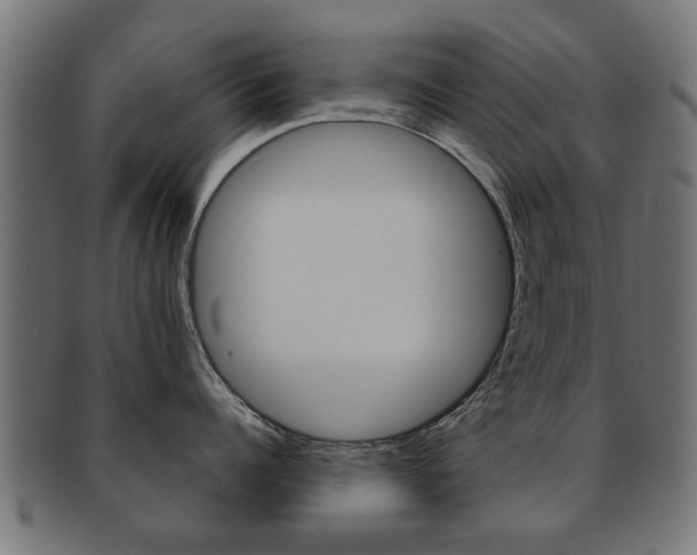 X0000091970960200709061129