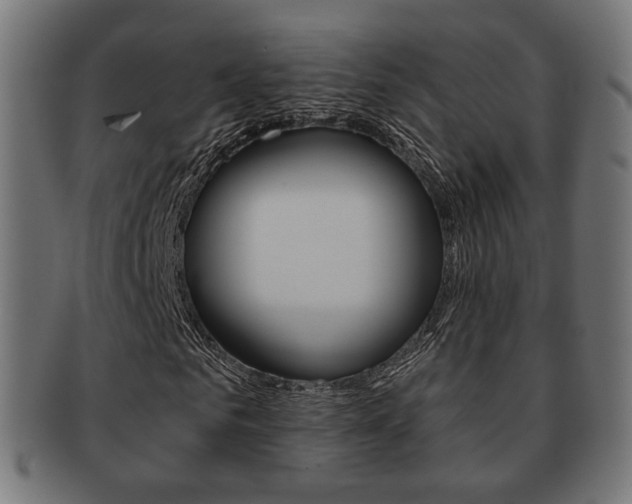 X0000091970961200709061128