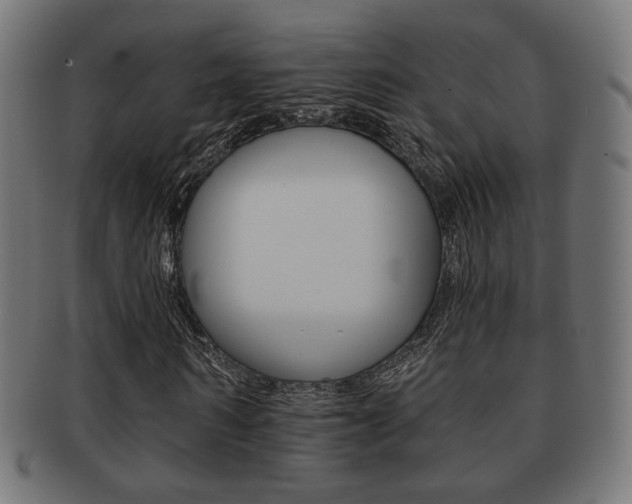 X0000091970962200709061128