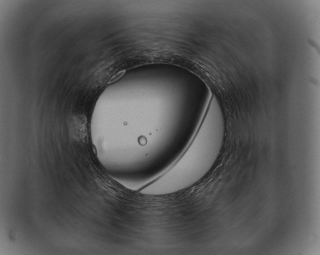 X0000091970963200709061128