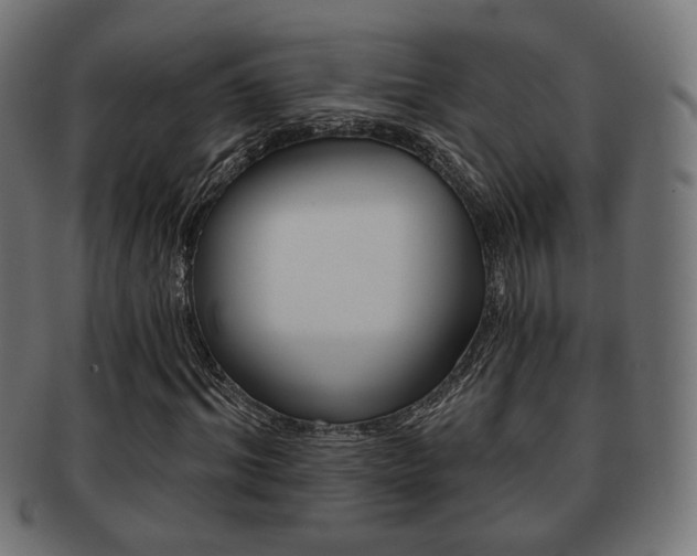 X0000091970964200709061128