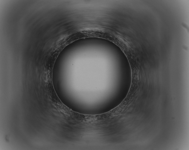 X0000091970965200709061128