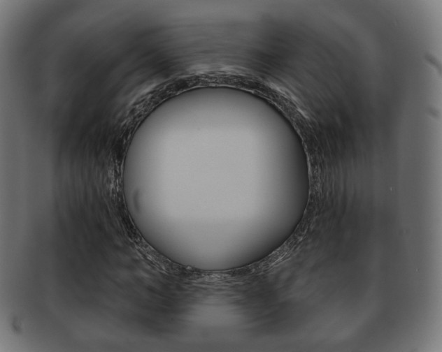 X0000091970966200709061128