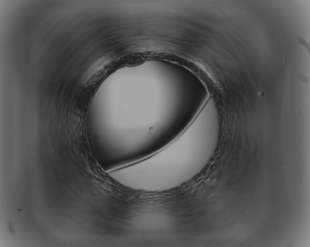 X0000091970967200709061128