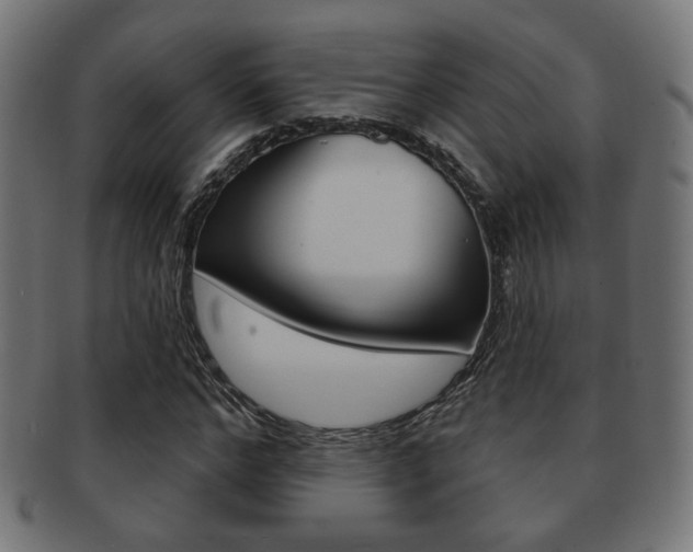X0000091970968200709061128