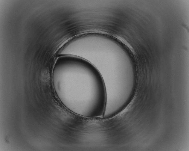 X0000091970969200709061128
