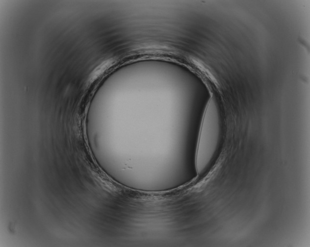 X0000091970970200709061128