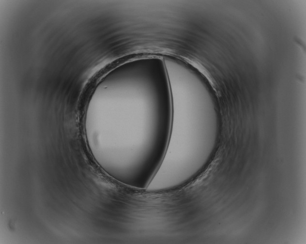 X0000091970971200709061128