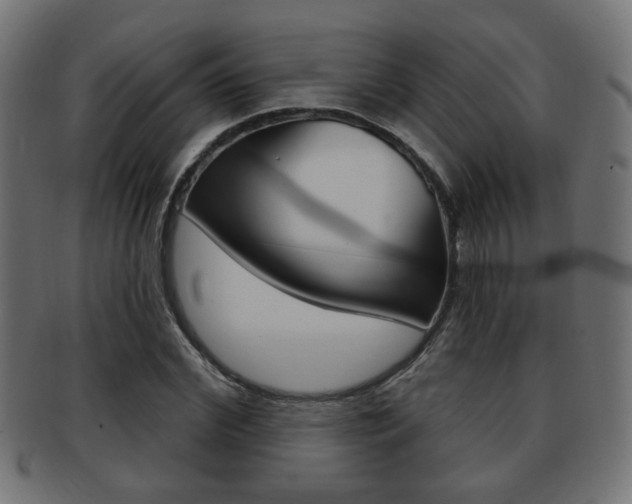 X0000091970972200709061128