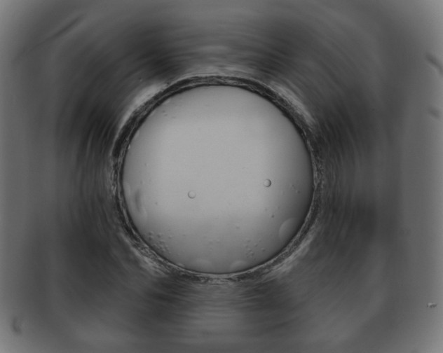 X0000091970974200709061128