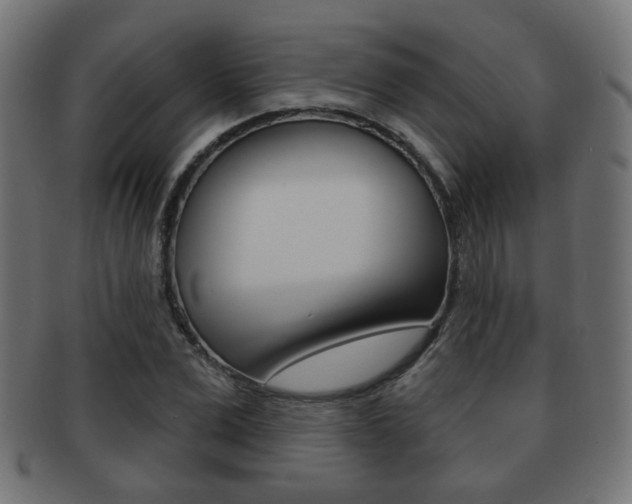 X0000091970975200709061128