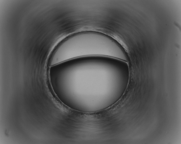 X0000091970976200709061128