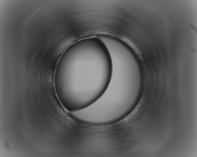 X0000091970977200709061128