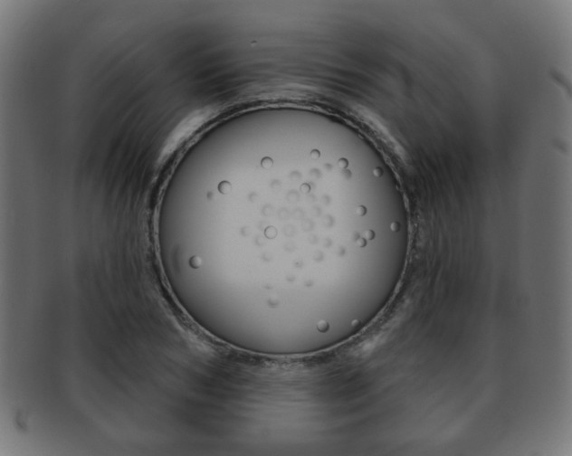 X0000091970978200709061128