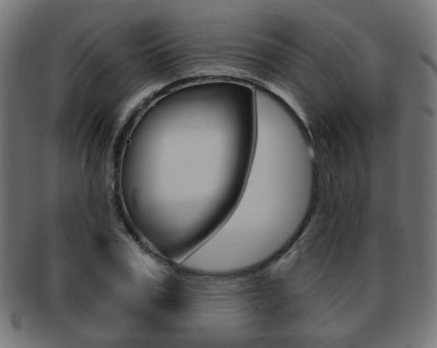 X0000091970979200709061128