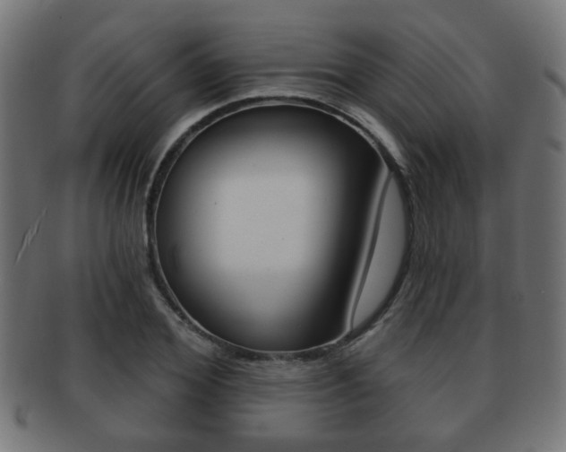X0000091970980200709061128