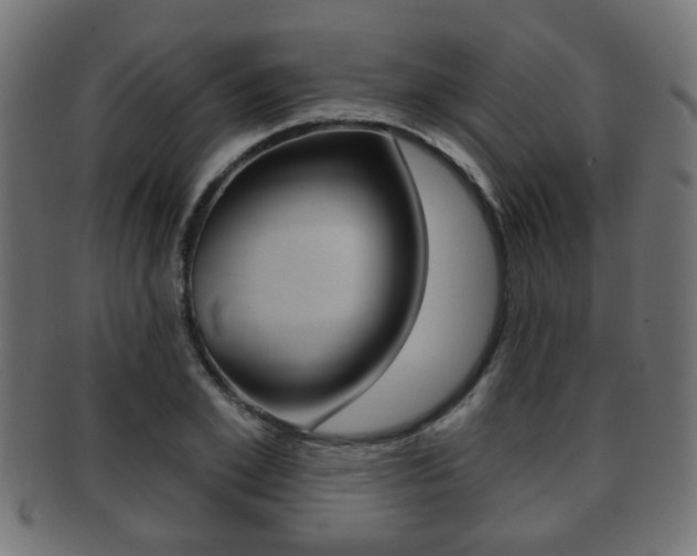 X0000091970981200709061128